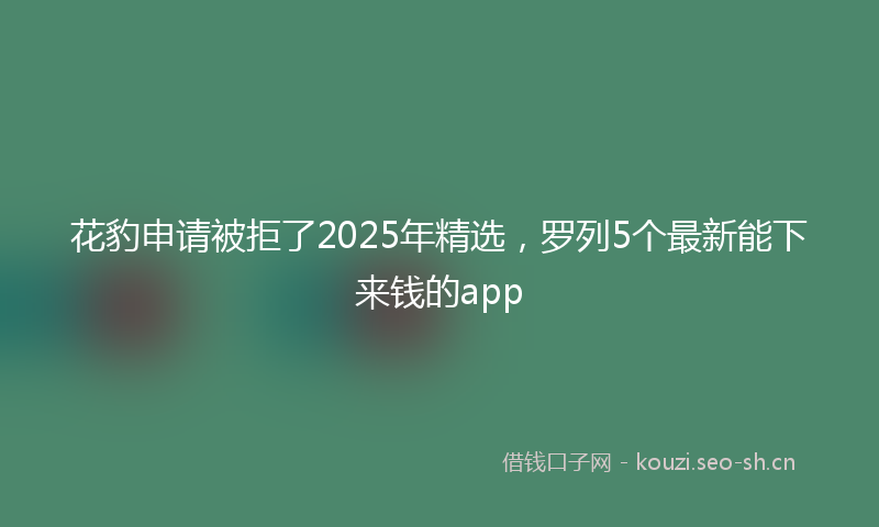 花豹申请被拒了2025年精选，罗列5个最新能下来钱的app