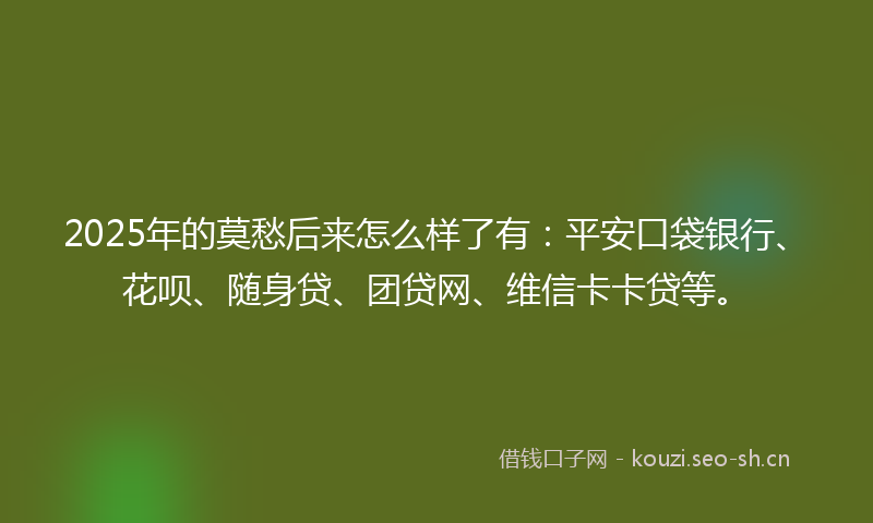 2025年的莫愁后来怎么样了有：平安口袋银行、花呗、随身贷、团贷网、维信卡卡贷等。