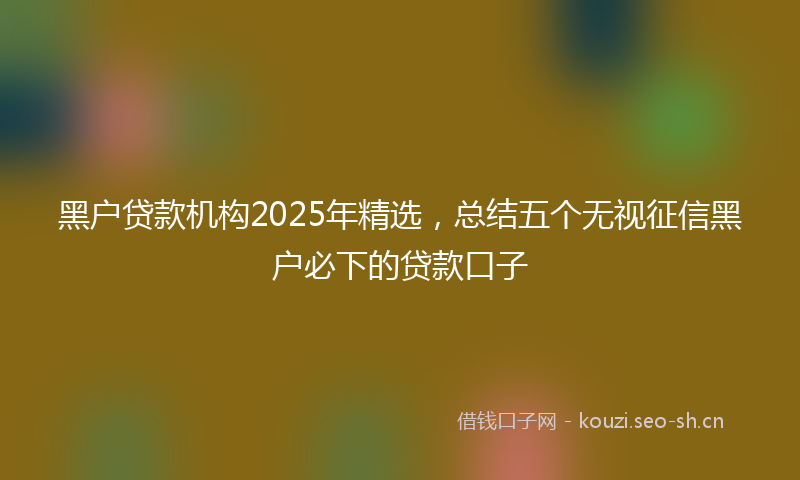 黑户贷款机构2025年精选，总结五个无视征信黑户必下的贷款口子