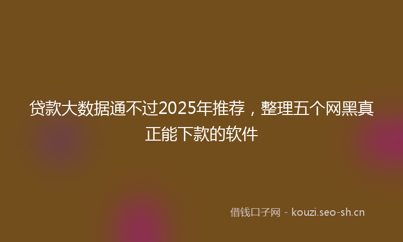 贷款大数据通不过2025年推荐，整理五个网黑真正能下款的软件