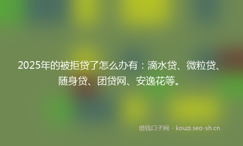 2025年的被拒贷了怎么办有：滴水贷、微粒贷、随身贷、团贷网、安逸花等。