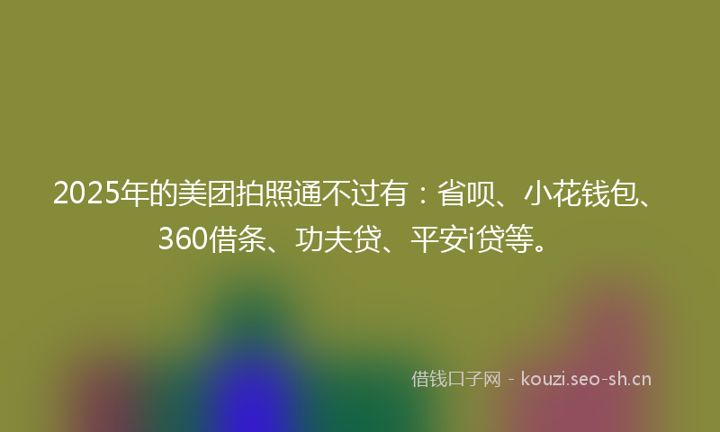 2025年的美团拍照通不过有：省呗、小花钱包、360借条、功夫贷、平安i贷等。