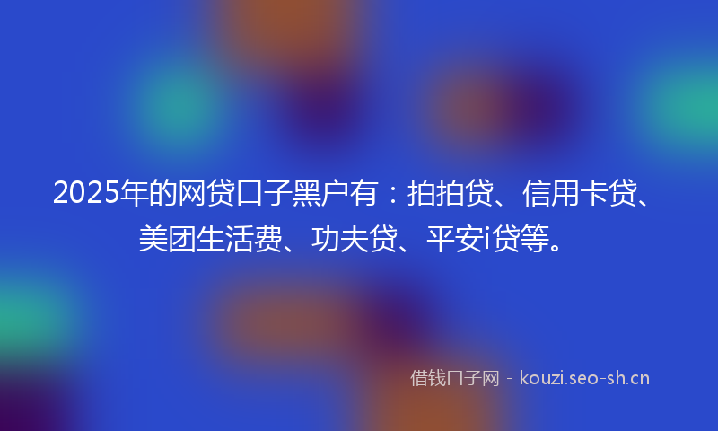 2025年的网贷口子黑户有：拍拍贷、信用卡贷、美团生活费、功夫贷、平安i贷等。