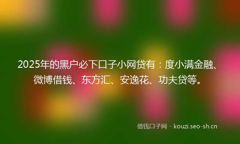 2025年的黑户必下口子小网贷有：度小满金融、微博借钱、东方汇、安逸花、功夫贷等。