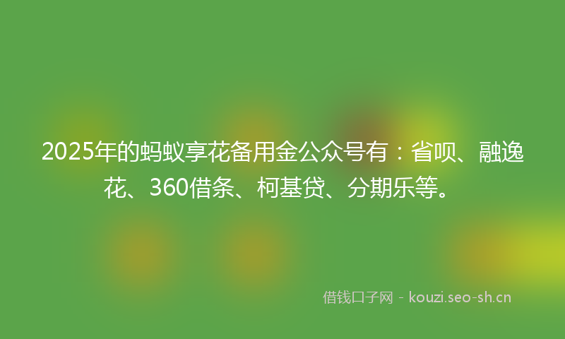 2025年的蚂蚁享花备用金公众号有：省呗、融逸花、360借条、柯基贷、分期乐等。