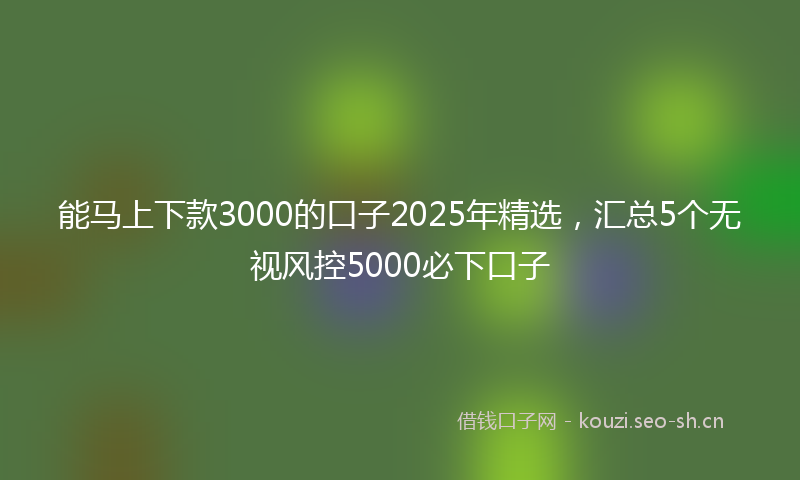 能马上下款3000的口子2025年精选，汇总5个无视风控5000必下口子