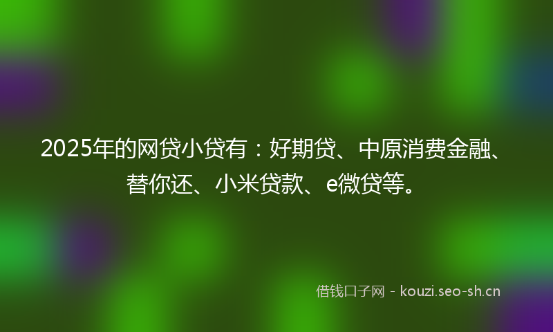 2025年的网贷小贷有：好期贷、中原消费金融、替你还、小米贷款、e微贷等。