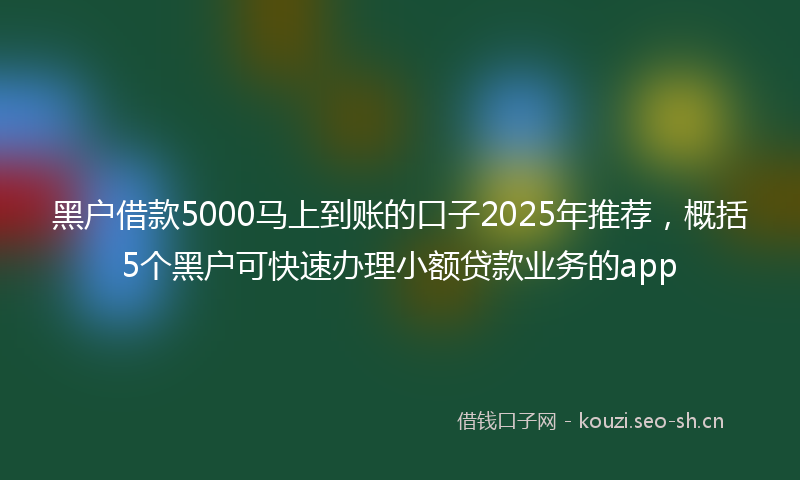 黑户借款5000马上到账的口子2025年推荐，概括5个黑户可快速办理小额贷款业务的app