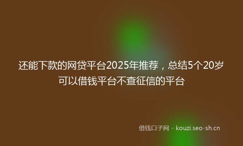 还能下款的网贷平台2025年推荐，总结5个20岁可以借钱平台不查征信的平台