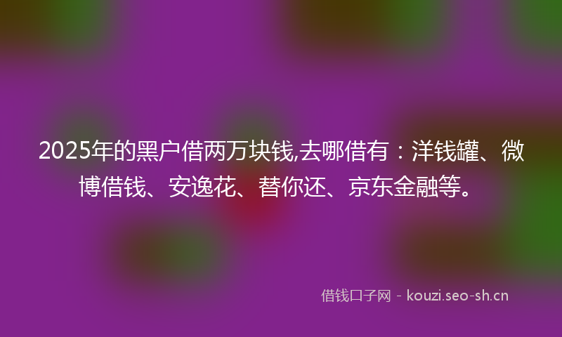 2025年的黑户借两万块钱,去哪借有：洋钱罐、微博借钱、安逸花、替你还、京东金融等。