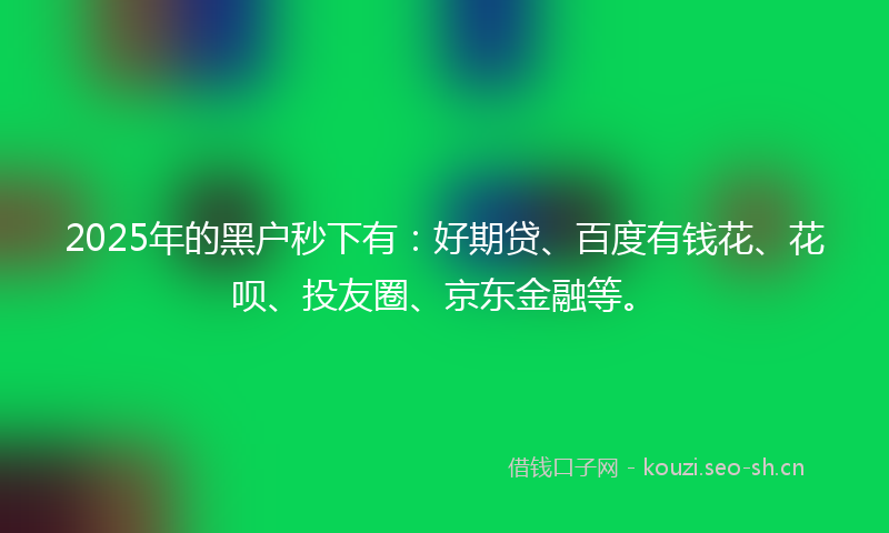 2025年的黑户秒下有：好期贷、百度有钱花、花呗、投友圈、京东金融等。