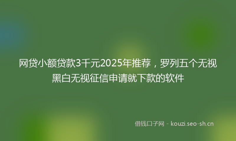网贷小额贷款3千元2025年推荐，罗列五个无视黑白无视征信申请就下款的软件