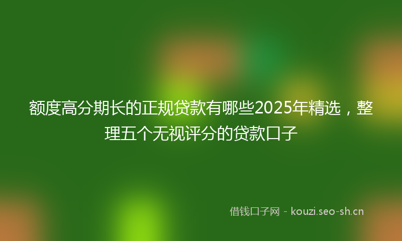 额度高分期长的正规贷款有哪些2025年精选，整理五个无视评分的贷款口子