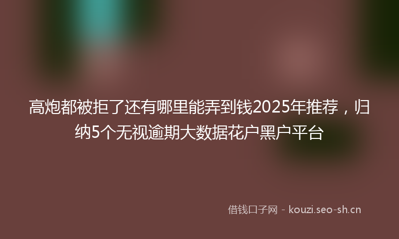 高炮都被拒了还有哪里能弄到钱2025年推荐，归纳5个无视逾期大数据花户黑户平台