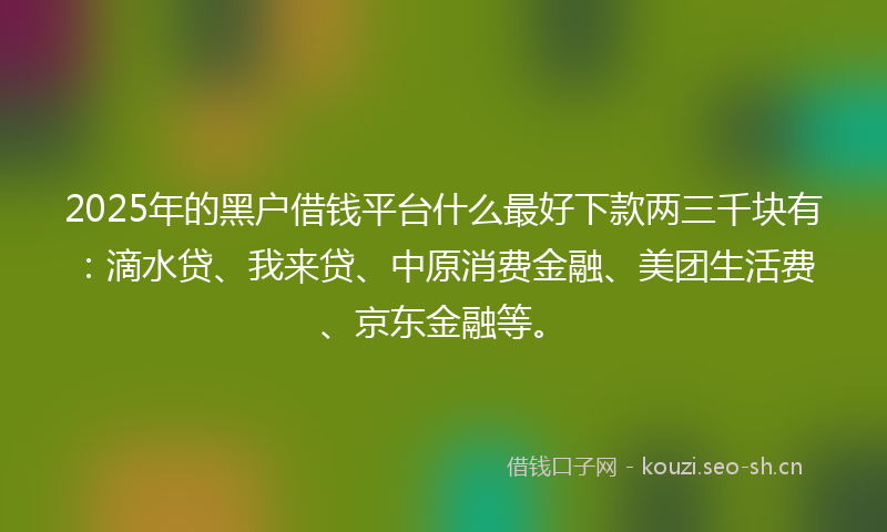 2025年的黑户借钱平台什么最好下款两三千块有：滴水贷、我来贷、中原消费金融、美团生活费、京东金融等。