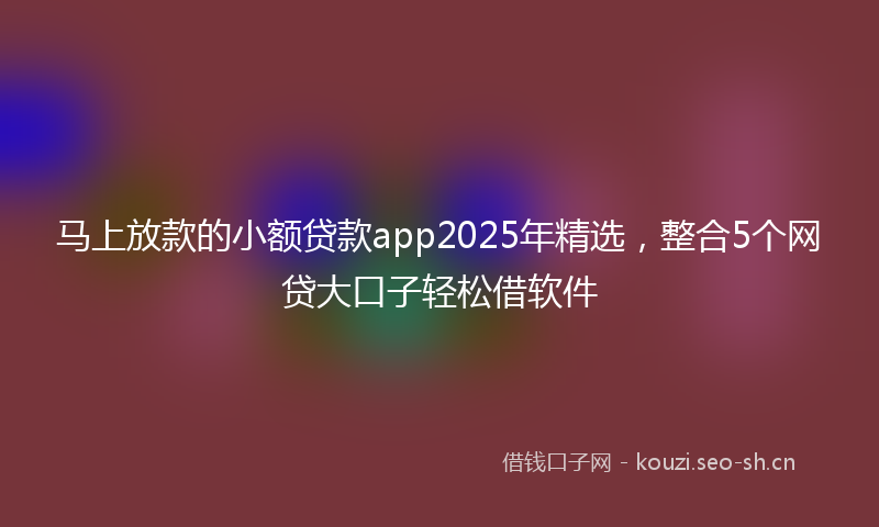 马上放款的小额贷款app2025年精选，整合5个网贷大口子轻松借软件
