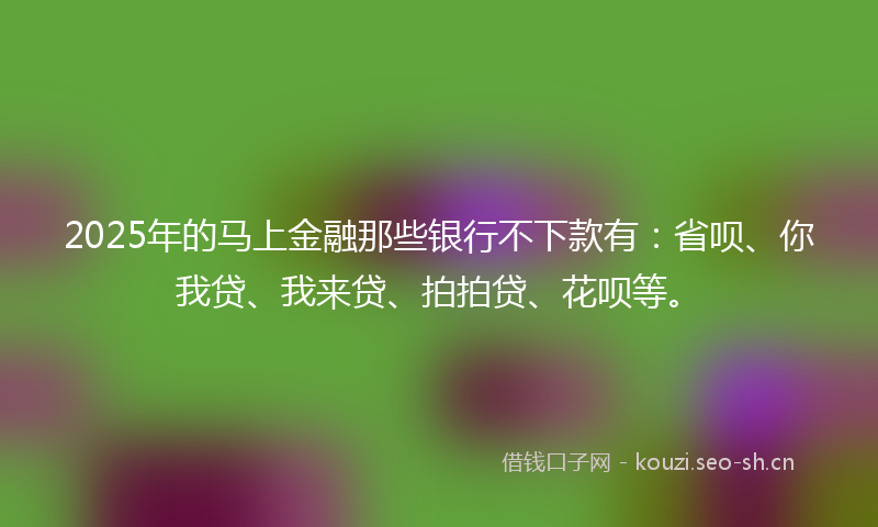2025年的马上金融那些银行不下款有：省呗、你我贷、我来贷、拍拍贷、花呗等。