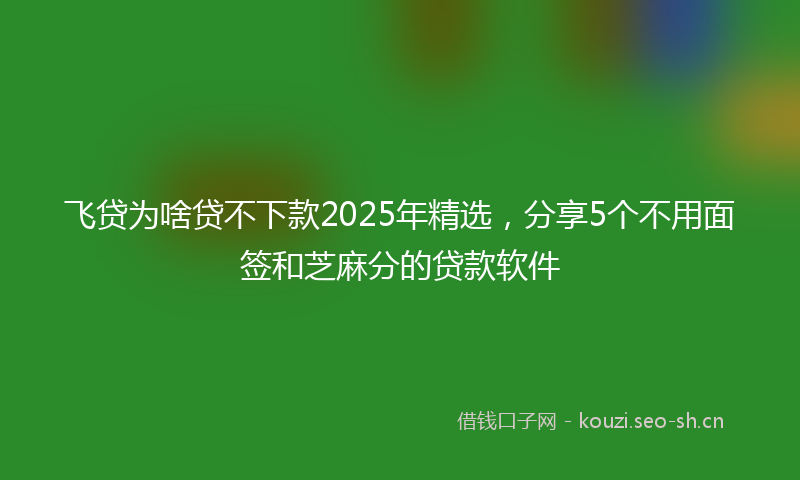 飞贷为啥贷不下款2025年精选，分享5个不用面签和芝麻分的贷款软件