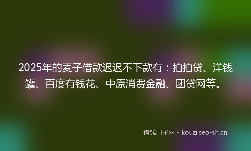 2025年的麦子借款迟迟不下款有：拍拍贷、洋钱罐、百度有钱花、中原消费金融、团贷网等。