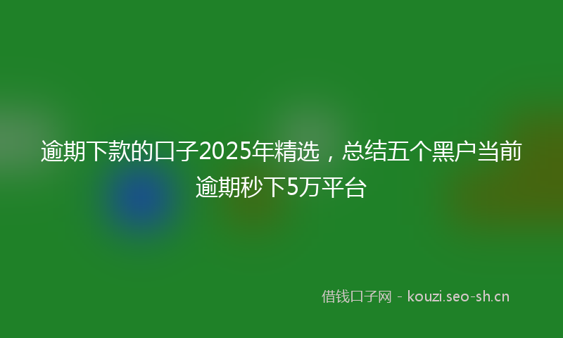 逾期下款的口子2025年精选，总结五个黑户当前逾期秒下5万平台
