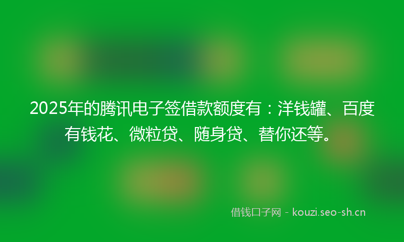 2025年的腾讯电子签借款额度有：洋钱罐、百度有钱花、微粒贷、随身贷、替你还等。