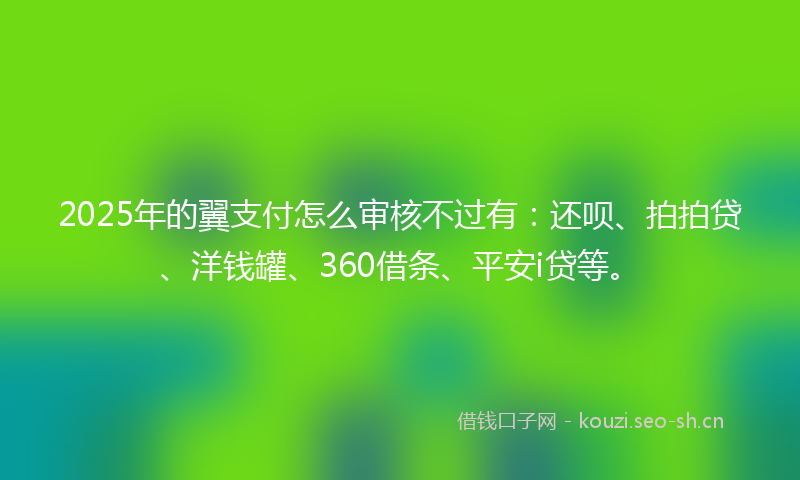 2025年的翼支付怎么审核不过有：还呗、拍拍贷、洋钱罐、360借条、平安i贷等。