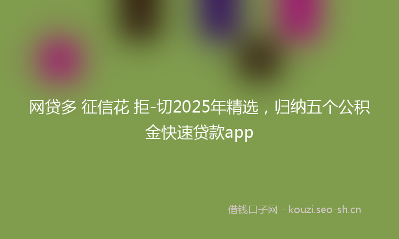 网贷多 征信花 拒-切2025年精选，归纳五个公积金快速贷款app