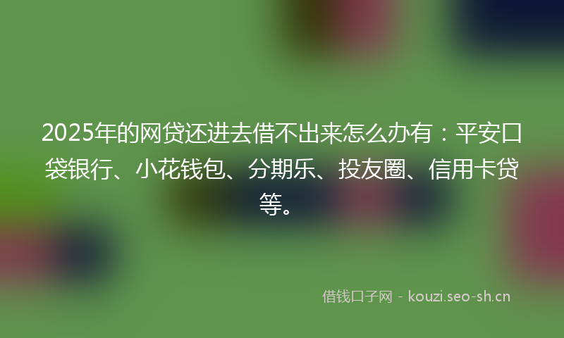 2025年的网贷还进去借不出来怎么办有：平安口袋银行、小花钱包、分期乐、投友圈、信用卡贷等。
