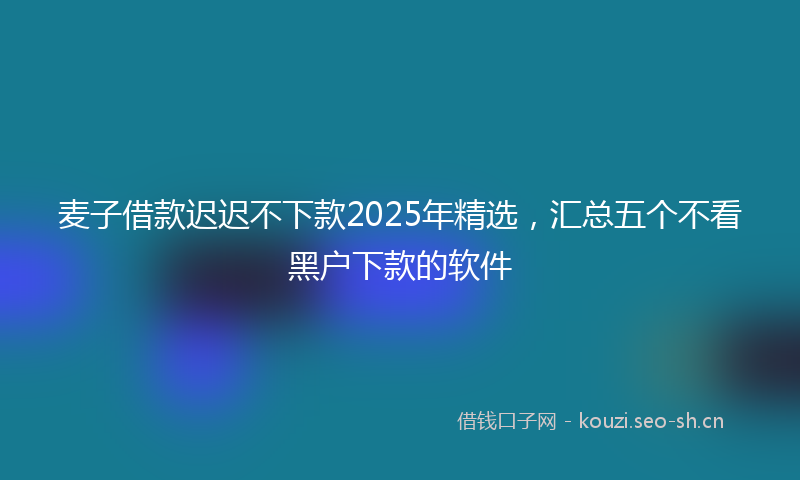 麦子借款迟迟不下款2025年精选，汇总五个不看黑户下款的软件