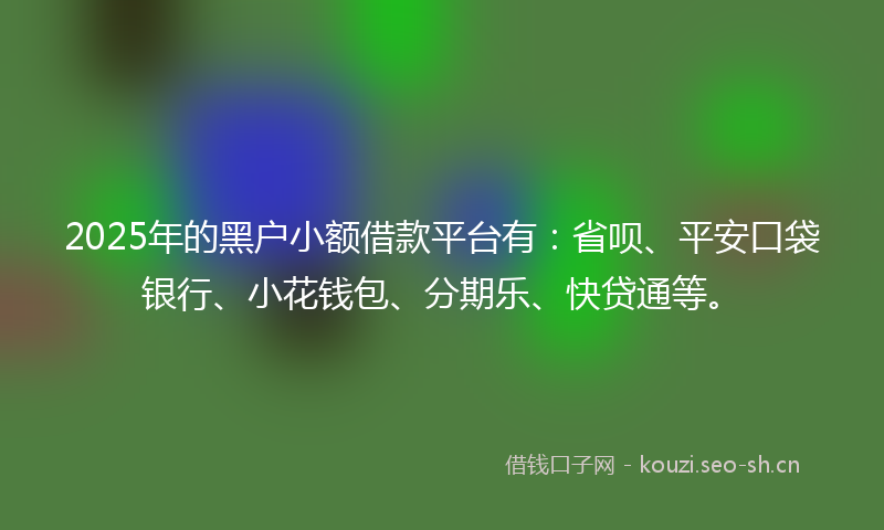 2025年的黑户小额借款平台有：省呗、平安口袋银行、小花钱包、分期乐、快贷通等。