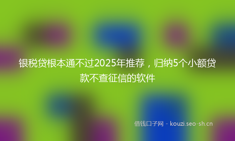 银税贷根本通不过2025年推荐，归纳5个小额贷款不查征信的软件