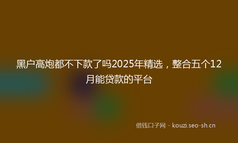 黑户高炮都不下款了吗2025年精选，整合五个12月能贷款的平台