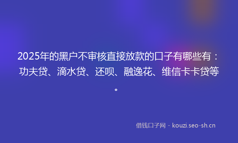 2025年的黑户不审核直接放款的口子有哪些有：功夫贷、滴水贷、还呗、融逸花、维信卡卡贷等。