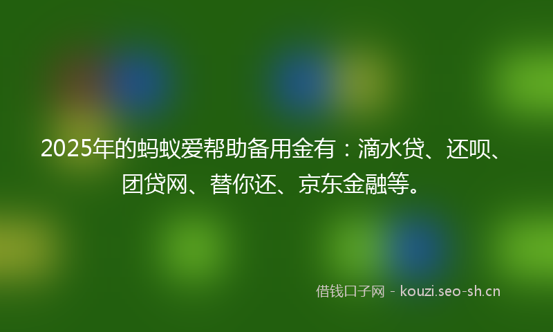 2025年的蚂蚁爱帮助备用金有：滴水贷、还呗、团贷网、替你还、京东金融等。