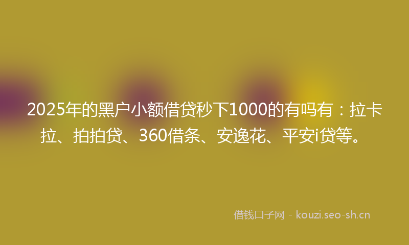 2025年的黑户小额借贷秒下1000的有吗有：拉卡拉、拍拍贷、360借条、安逸花、平安i贷等。