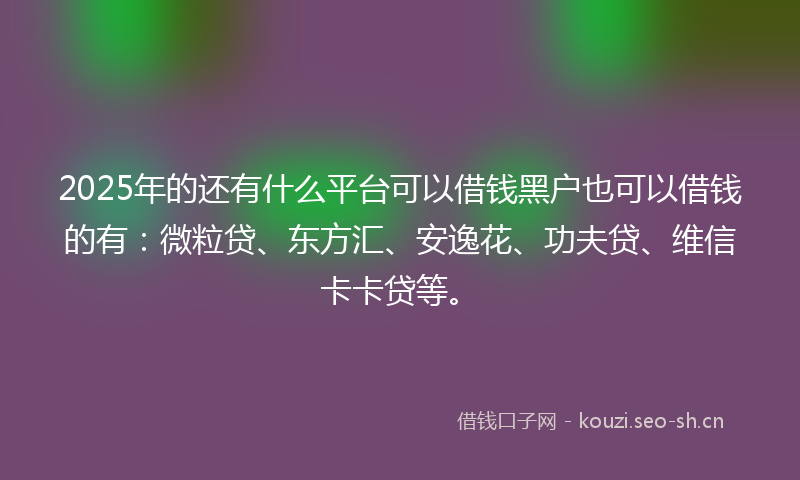 2025年的还有什么平台可以借钱黑户也可以借钱的有：微粒贷、东方汇、安逸花、功夫贷、维信卡卡贷等。