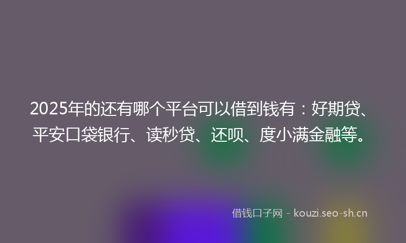 2025年的还有哪个平台可以借到钱有：好期贷、平安口袋银行、读秒贷、还呗、度小满金融等。