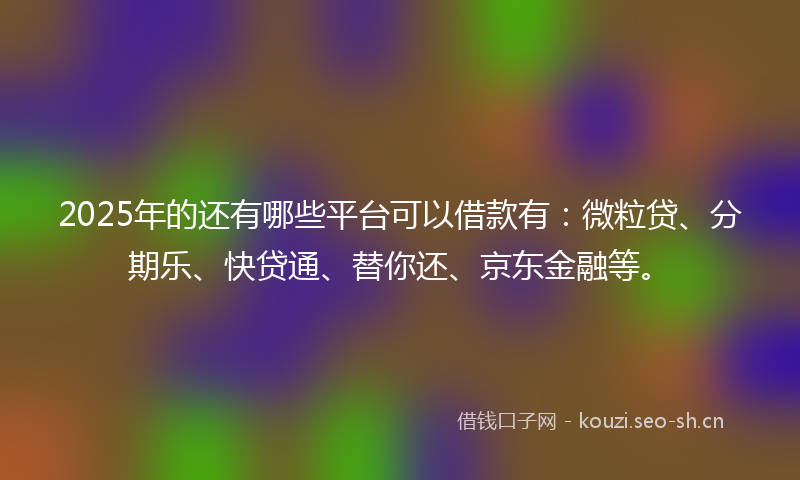 2025年的还有哪些平台可以借款有：微粒贷、分期乐、快贷通、替你还、京东金融等。