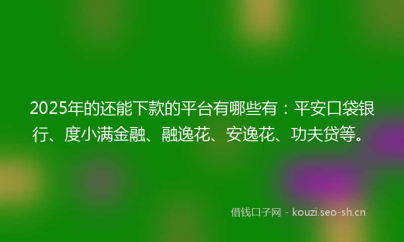 2025年的还能下款的平台有哪些有：平安口袋银行、度小满金融、融逸花、安逸花、功夫贷等。