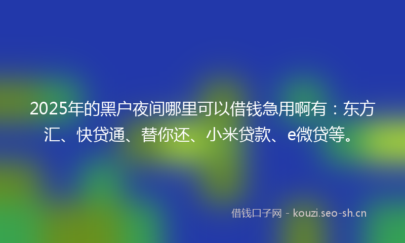 2025年的黑户夜间哪里可以借钱急用啊有：东方汇、快贷通、替你还、小米贷款、e微贷等。