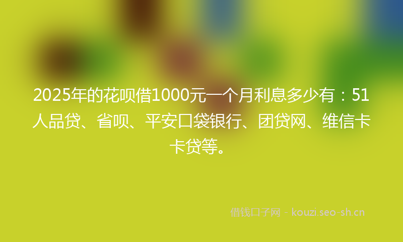 2025年的花呗借1000元一个月利息多少有：51人品贷、省呗、平安口袋银行、团贷网、维信卡卡贷等。