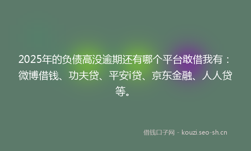 2025年的负债高没逾期还有哪个平台敢借我有：微博借钱、功夫贷、平安i贷、京东金融、人人贷等。
