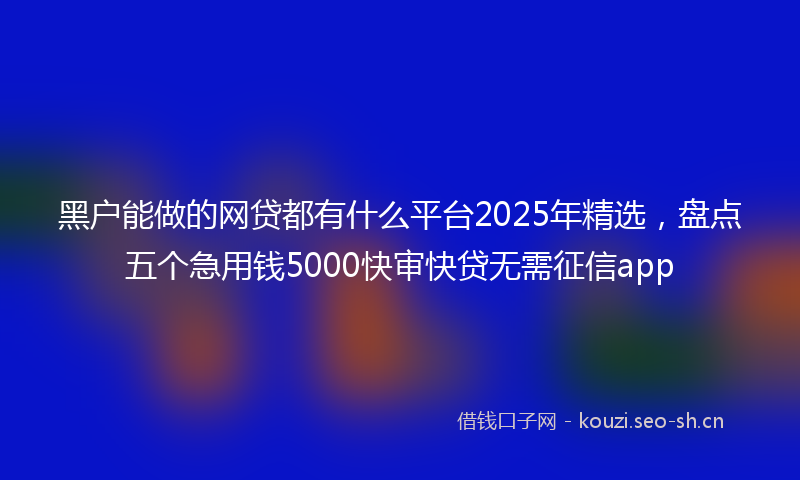 黑户能做的网贷都有什么平台2025年精选，盘点五个急用钱5000快审快贷无需征信app
