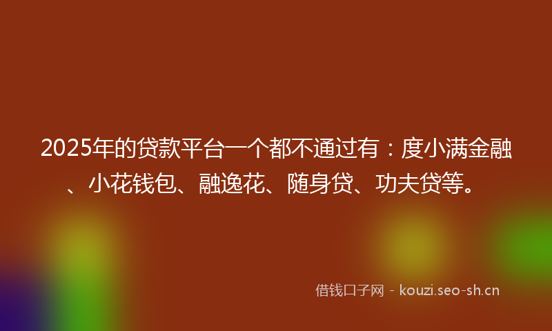 2025年的贷款平台一个都不通过有：度小满金融、小花钱包、融逸花、随身贷、功夫贷等。