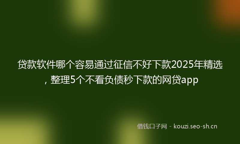 贷款软件哪个容易通过征信不好下款2025年精选，整理5个不看负债秒下款的网贷app
