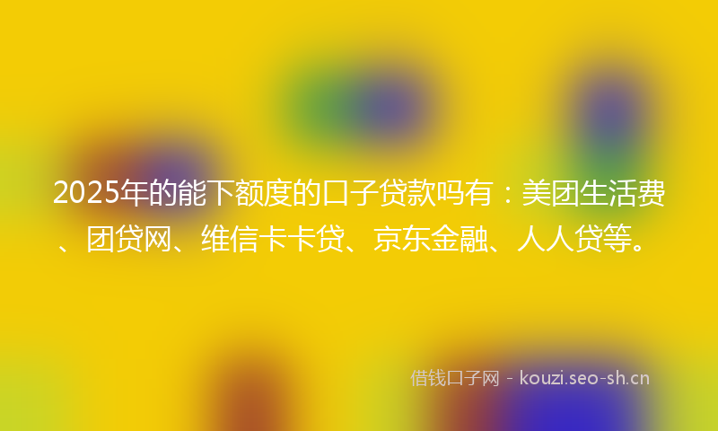 2025年的能下额度的口子贷款吗有：美团生活费、团贷网、维信卡卡贷、京东金融、人人贷等。