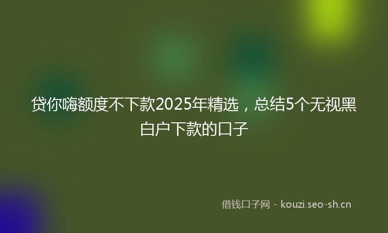 贷你嗨额度不下款2025年精选，总结5个无视黑白户下款的口子