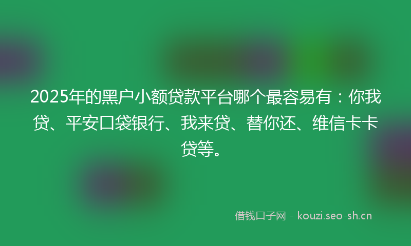 2025年的黑户小额贷款平台哪个最容易有：你我贷、平安口袋银行、我来贷、替你还、维信卡卡贷等。