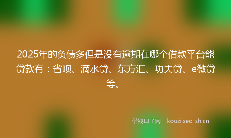 2025年的负债多但是没有逾期在哪个借款平台能贷款有：省呗、滴水贷、东方汇、功夫贷、e微贷等。