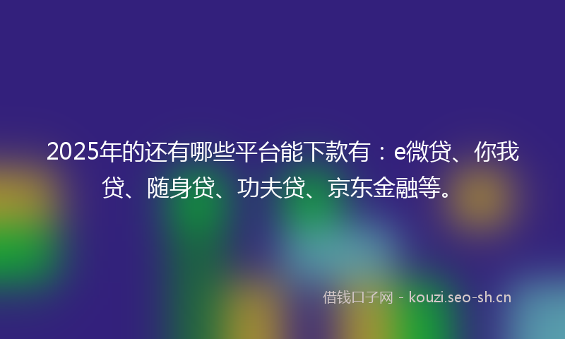 2025年的还有哪些平台能下款有：e微贷、你我贷、随身贷、功夫贷、京东金融等。